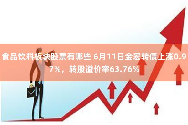 食品饮料板块股票有哪些 6月11日金宏转债上涨0.97%，转股溢价率63.76%