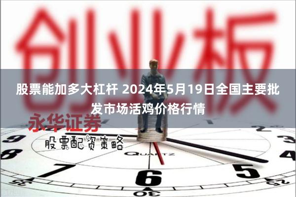 股票能加多大杠杆 2024年5月19日全国主要批发市场活鸡价格行情