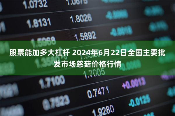 股票能加多大杠杆 2024年6月22日全国主要批发市场慈菇价格行情