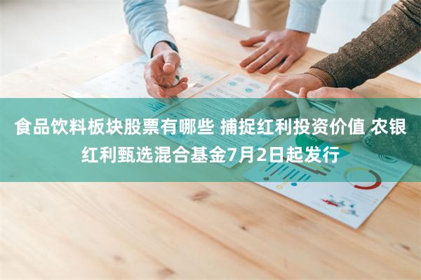 食品饮料板块股票有哪些 捕捉红利投资价值 农银红利甄选混合基金7月2日起发行