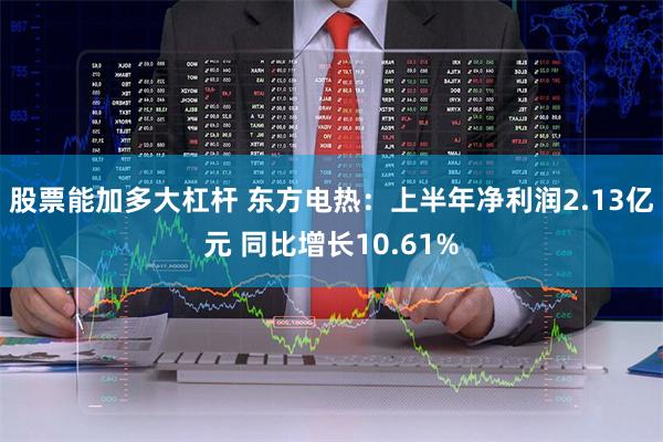 股票能加多大杠杆 东方电热：上半年净利润2.13亿元 同比增长10.61%