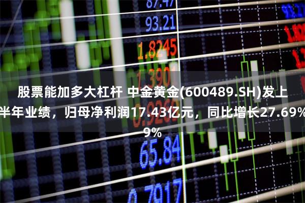 股票能加多大杠杆 中金黄金(600489.SH)发上半年业绩，归母净利润17.43亿元，同比增长27.69%