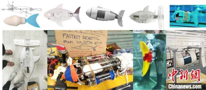 历史版本的VAYU机器鱼。　邓苏 摄